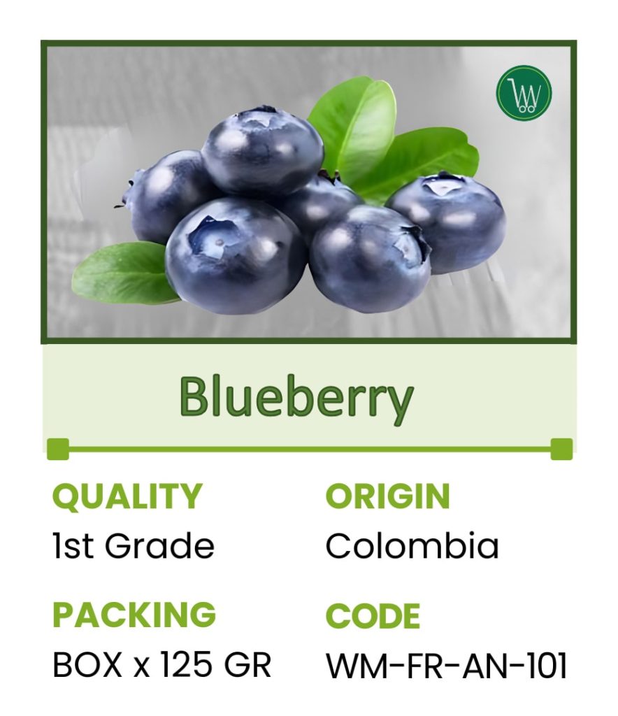 101blueberry