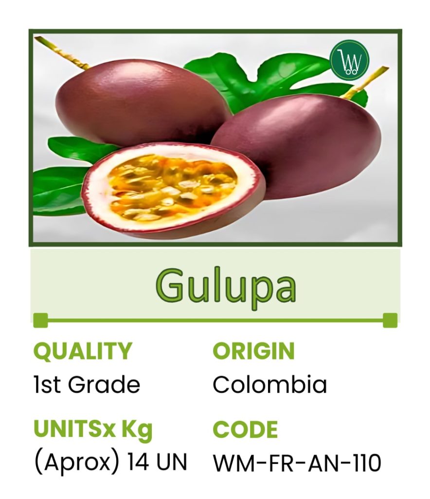 110gulupa