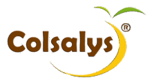 logocolsalys2